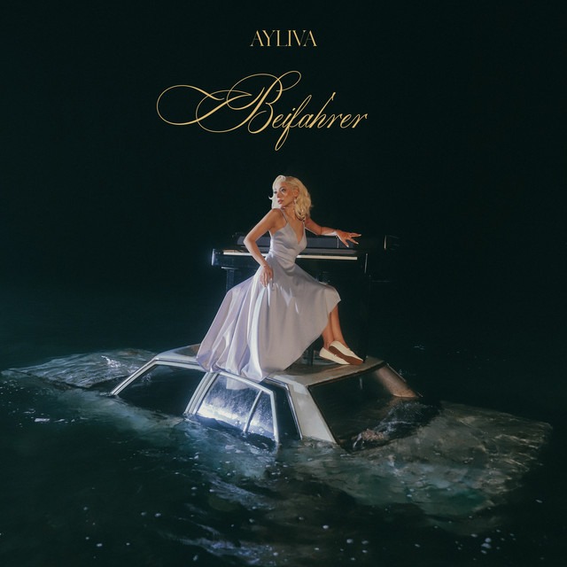 AYLIVA – Beifahrer